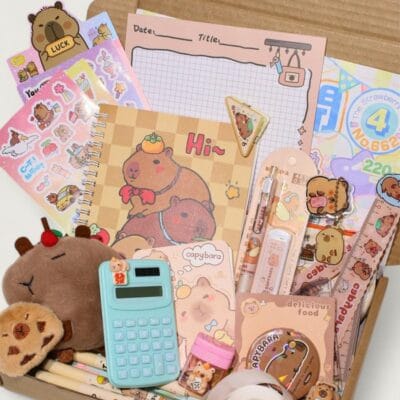 Cute & Nice Capybara Stationery Mystery Pack | Kawaiigiftshop